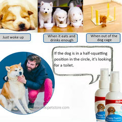 Pet Training Spray – Puppy & Dog Toilet Training Aid