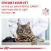 Royal Canin Urinary S/O Adult Dry Cat Food