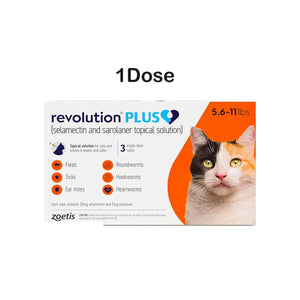 Revolution Plus Spot On (Selamectin and Sarolaner Topical Solution) for Cats 5.6–11 lbs (1 Pipe 2.6–5.0 kg) Orange 1 Tube