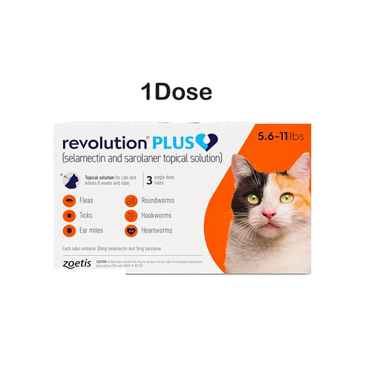 Revolution Plus Spot On (Selamectin and Sarolaner Topical Solution) for Cats 5.6–11 lbs (1 Pipe 2.6–5.0 kg) Orange 1 Tube