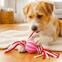 Dog Rope with Ball for Fun and Dental Care Robust Dog Toy for Medium and Large Dogs