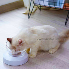 Pet Bowl – Transparent Detachable Food Bowl for Cats & Dogs (0° or 20° Angle)