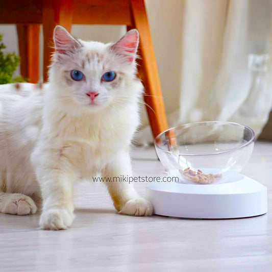 Pet Bowl – Transparent Detachable Food Bowl for Cats & Dogs (0° or 20° Angle)