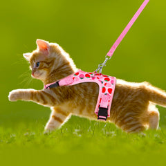 Cat Harness and Leash Set – Adjustable Vest Harness with Collar for Kittens, Puppies & Small Pets – Ideal for Outdoor Walking