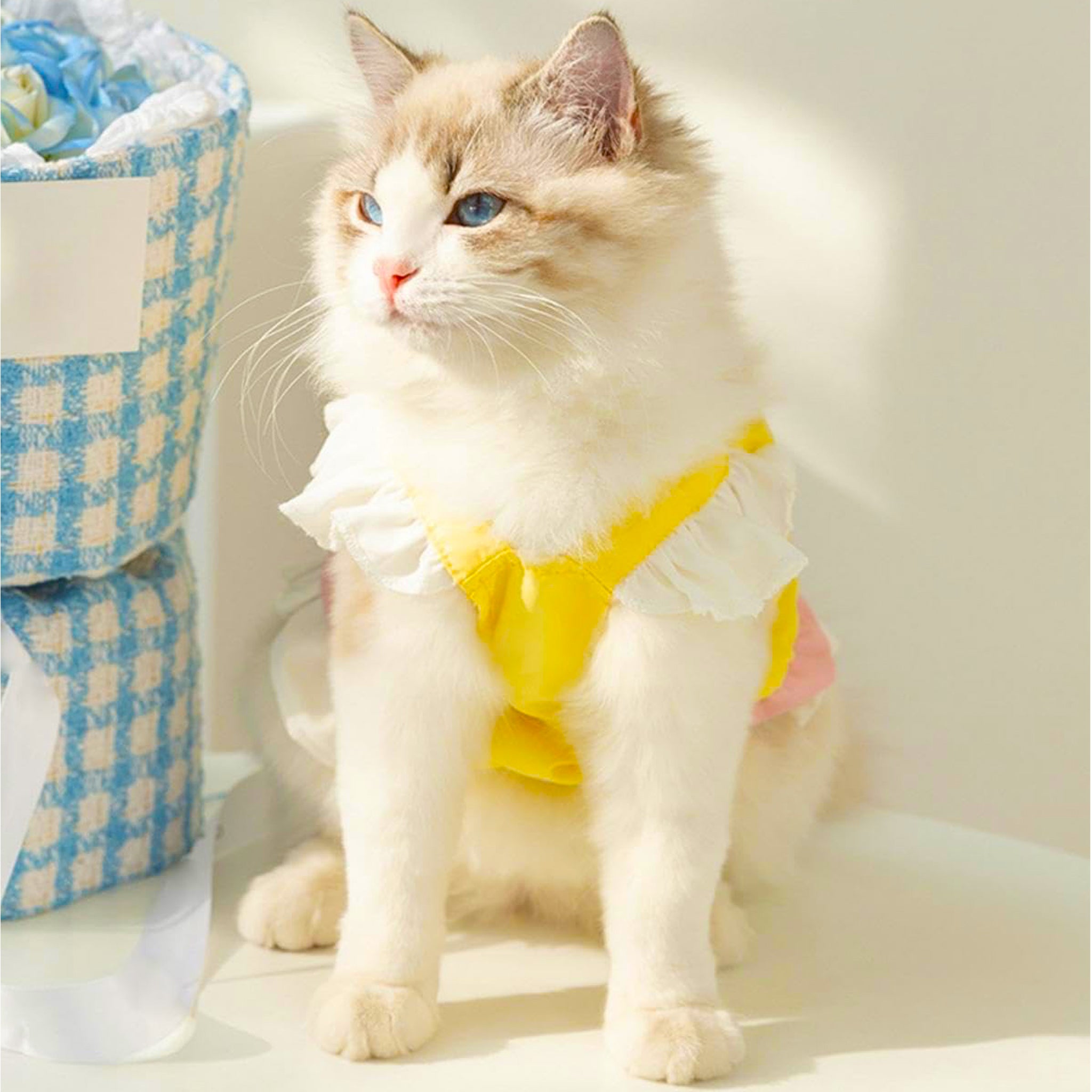 Dog and cat clothing Bangladesh – elegant summer dress with big bow for pets.