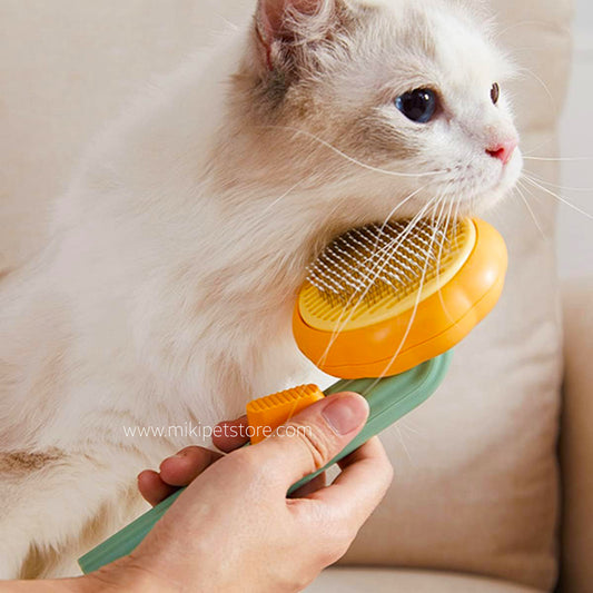 Cute Shell Comb Pain Free Pin Bristles Pumpkin Design Cat Groomer Brush for Dogs and Cat