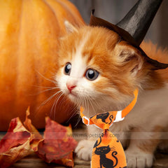 Adjustable Puppy & Cat Collar with Bow Tie – Stylish & Comfortable