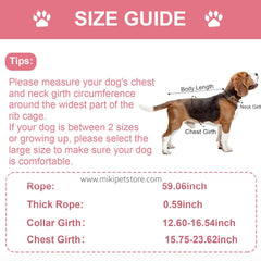 3-Piece No-Pull Dog Harness, Leash & Collar Set – Adjustable for Large & Extra-Large Dogs