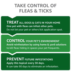 Vet Coach Fipronil Cat & Dog Spot On 0.5ml