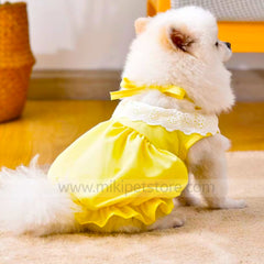 Cat Dress – Soft Elastic Princess Skirt for Summer Days For Cat & Puppies