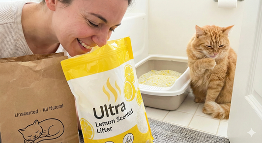 A person happily smelling a bag of lemon scented litter while a cat nearby turns away in disgust, illustrating the difference in scent preference
