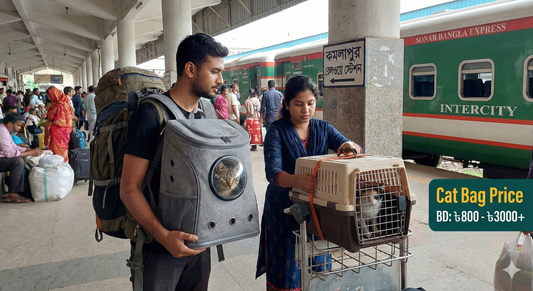Travelers with a backpack cat carrier and a hard plastic pet crate at a train station in Dhaka, Bangladesh, preparing for a journey with their cats.