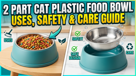 2 Part Cat Plastic Food Bowl Uses, Safety & Care Guide