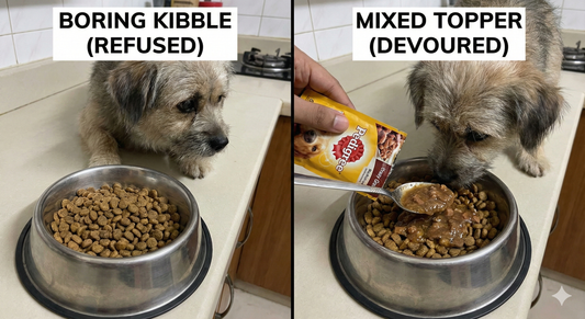 A side-by-side comparison showing a fussy dog refusing plain dry kibble versus excitedly eating kibble mixed with savory gravy, illustrating how to use wet food toppers to improve flavor and manage the dog wet food price.