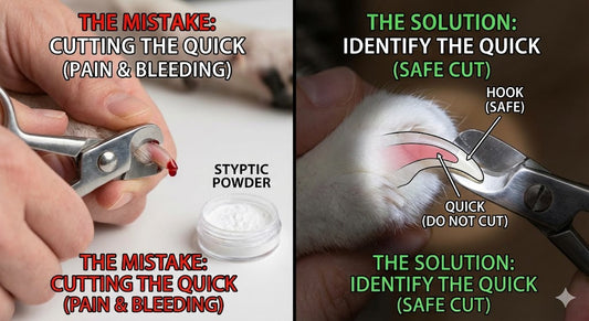 A split-screen infographic comparing improper versus proper pet nail trimming. The left side shows the mistake of cutting into the bleeding "quick" and needing styptic powder. The right side displays an anatomical diagram of a claw