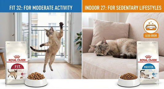 Is Royal Canin "Fit 32" Good for Indoor Cats?