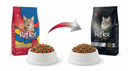 Reflex "Multi-Color" vs. "Reflex Plus": Understanding the Difference
