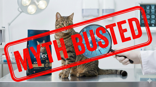 A healthy cat being examined next to a bag of Reflex Plus, investigating rumors of Reflex side effects and hair loss myths