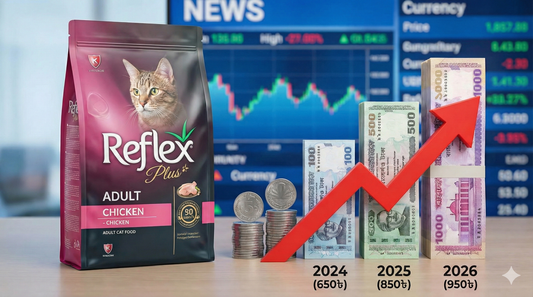 A visual graph illustrating the cat food price increase BD for Reflex Plus