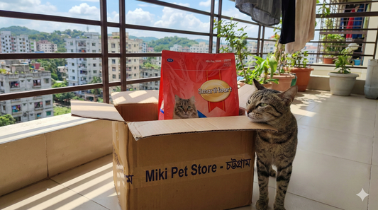 Authentic SmartHeart pet food delivery arriving from Miki Pet Store at a home in Chittagong.