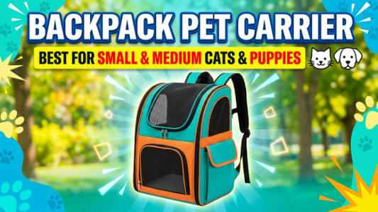 Backpack Pet Carrier 2026: Best for Small & Medium Cats & Puppies