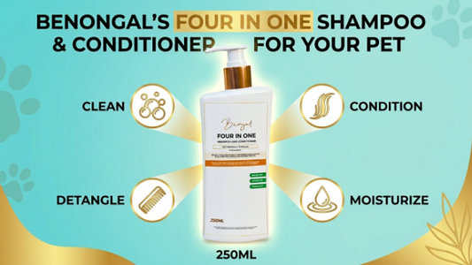 Bengal's 4-in-1 Pet Shampoo: Clean, Condition & More