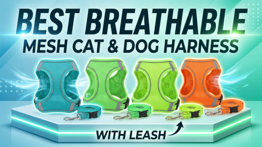 Best Breathable Mesh Cat & Dog Harness with Leash