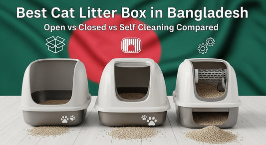 Best Cat Litter Box in Bangladesh 2026