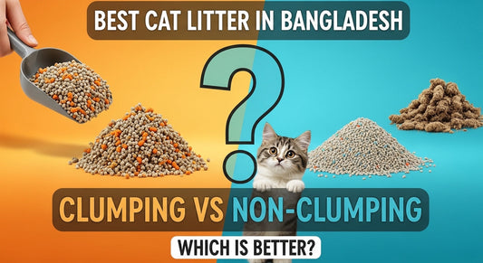 Best Cat Litter in Bangladesh 2026 | Clumping vs Non Clumping