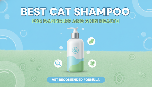 Best Cat Shampoo For Dandruff And Skin Health