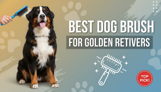 Best Dog Brush for Golden Retrievers Keeping Your Pet Fluffy
