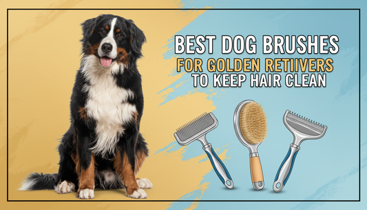 Best Dog Brushes for Golden Retrievers to Keep Hair Clean