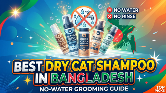 Best Dry Cat Shampoo in Bangladesh: No-Water Grooming Guide 2026