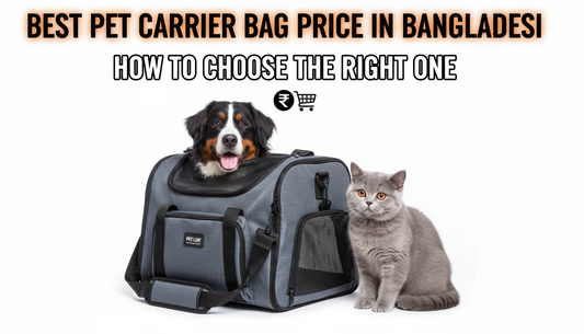 Best Pet Carrier Bag Price in Bangladesh 2026 – How to Choose the Right One