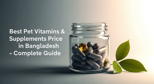 Best Pet Vitamins and Supplements Price in Bangladesh 2026: A Complete Guide