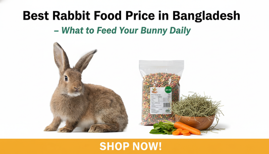 Best Rabbit Food Price in Bangladesh 2026: Daily Feeding Guide