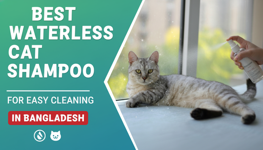 Best waterless cat shampoo for Easy Cleaning in Bangladesh