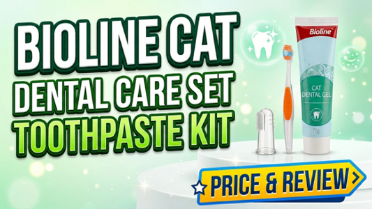 Bioline Cat Dental Care Set 2026 – Toothpaste Kit Price & Review
