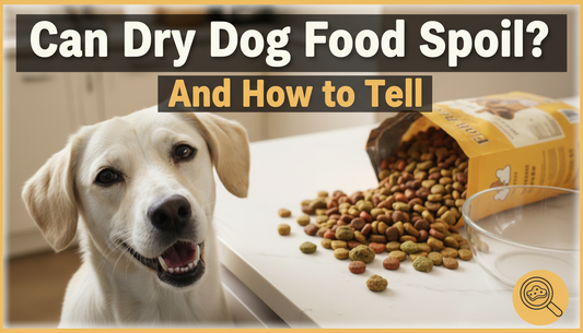 Can Dry Dog Food Spoil and How to Tell