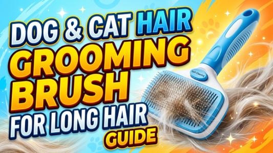 Dog & Cat Hair Grooming Brush for Long Hair Guide 2026