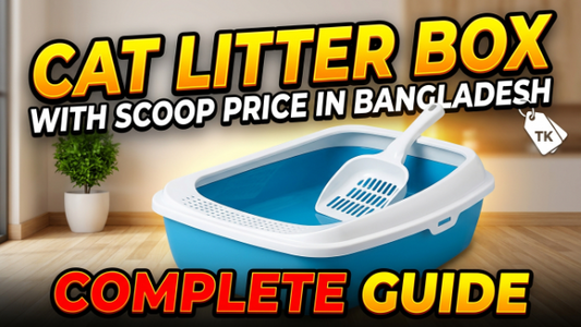 Cat Litter Box With Scoop Price in Bangladesh Complete Guide