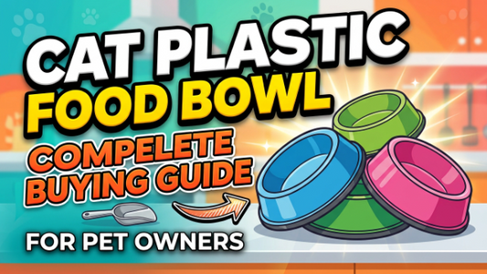 Cat Plastic Food Bowl Complete Buying Guide for Pet Owners