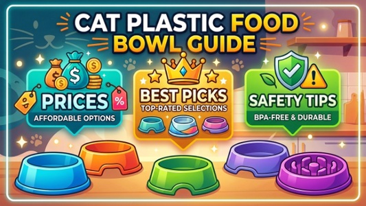 Cat Plastic Food Bowl Guide 2026 Prices, Best Picks & Safety Tips