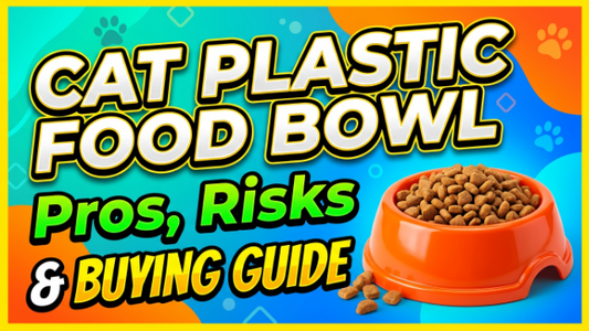 Cat Plastic Food Bowl: Pros, Risks & Buying Guide