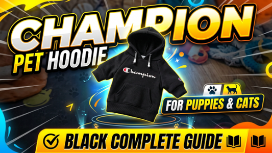 Champion Pet Black Hoodie for Puppies & Cats 2026 Guide