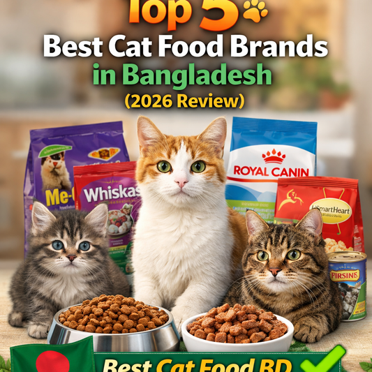Top 5 Best Cat Food Brands in Bangladesh (2026 Review)