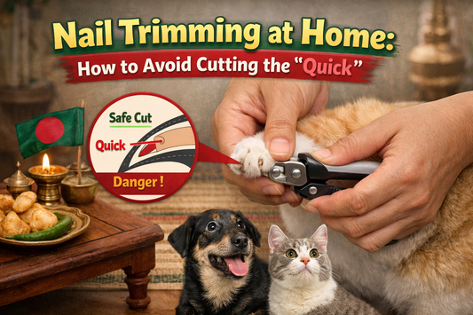 Nail Trimming at Home: How to Avoid Cutting the "Quick"