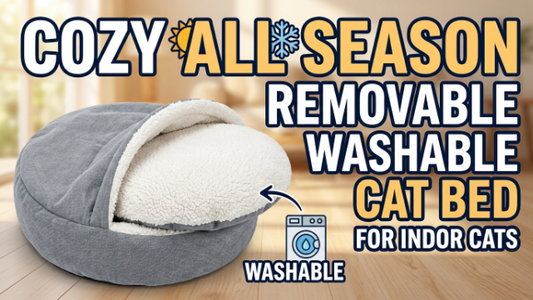 Cozy All Season Removable Washable Cat Bed for Indoor Cats
