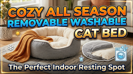 Cozy All Season Washable Cat Bed Complete Guide for Indoor Cats