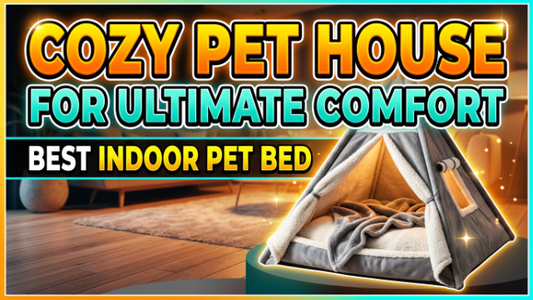 Cozy Pet House for Ultimate Comfort 2026: Best Indoor Pet Bed
